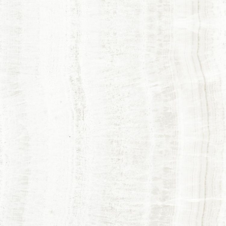 OL Onyx White Matte 24 x 24